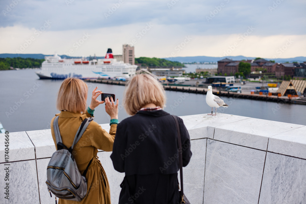 Two young stylish girls take pictures of a bird seagull