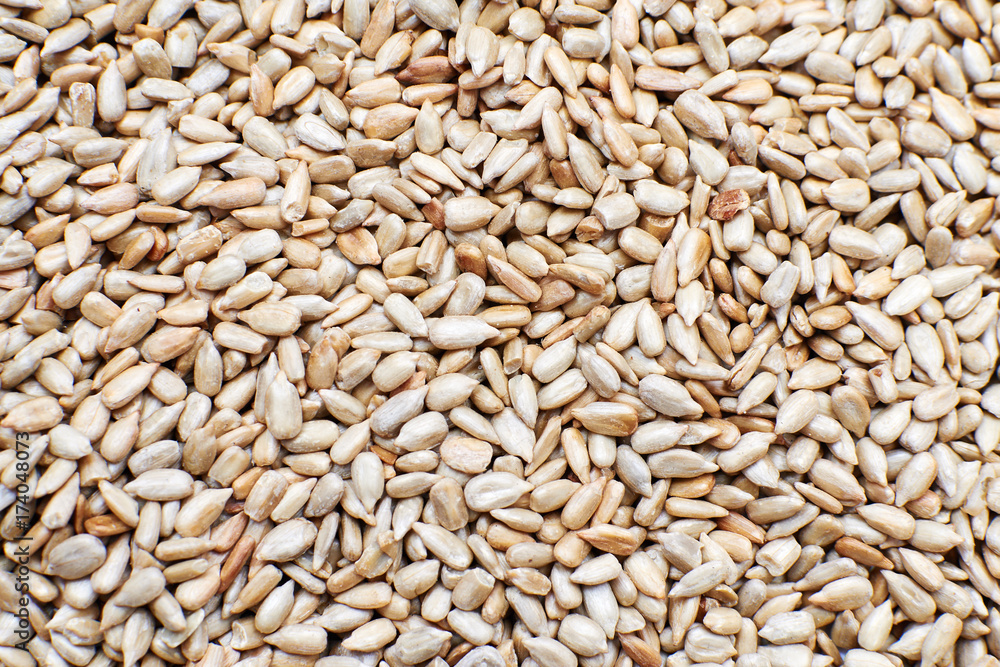 Sunflower seeds close up. Background and texture of the sunflower seed. Sunflower seeds close up. Background and texture of the sunflower seed.