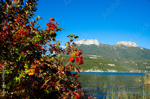 Herbst am Lac d'Annecy