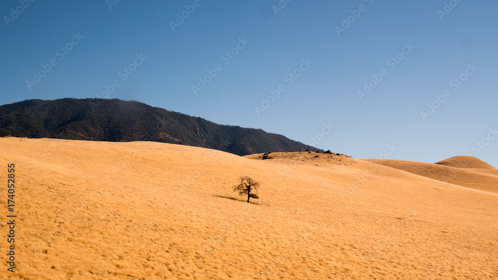 desert desert