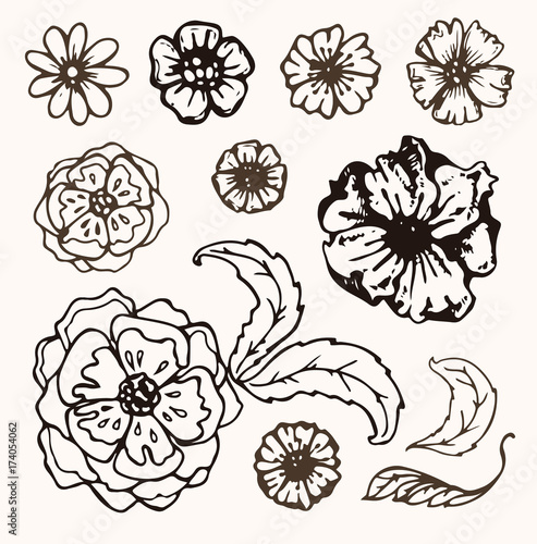Quadro su tela Hand drawn doodle flowers and leaves