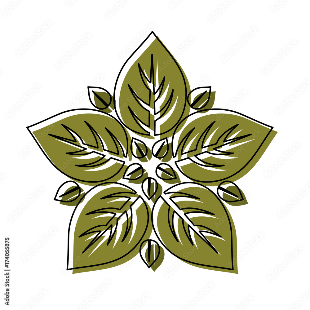 leaf design vector illustration leaf design vector illustration