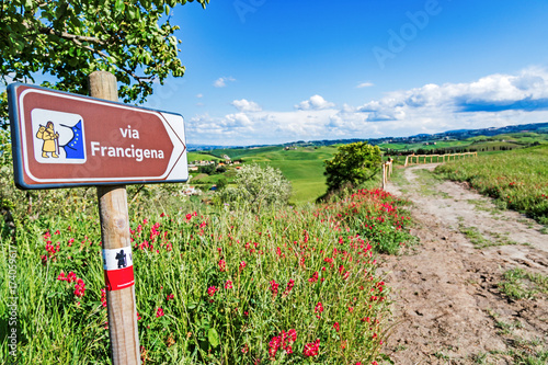 Via Francigena pilgrim path, Tuscany, Italy: road sign at beautiful Tuscany landscape background, spring scenery. Via Francigena is famous pilgrim path and popular travel hiking trail. photo