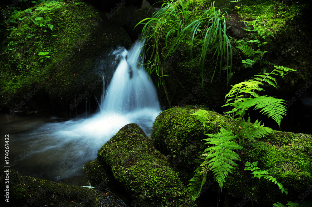 Sepetny creek, Beskydy mountains, Czech Republic Sepetny creek, Beskydy mountains, Czech Republic
