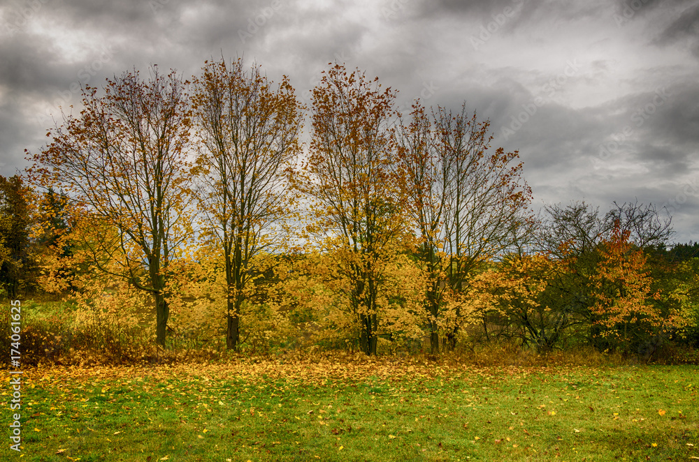 Autumn in the country side, Vysocina, Czech Republic Autumn in the country side, Vysocina, Czech Republic