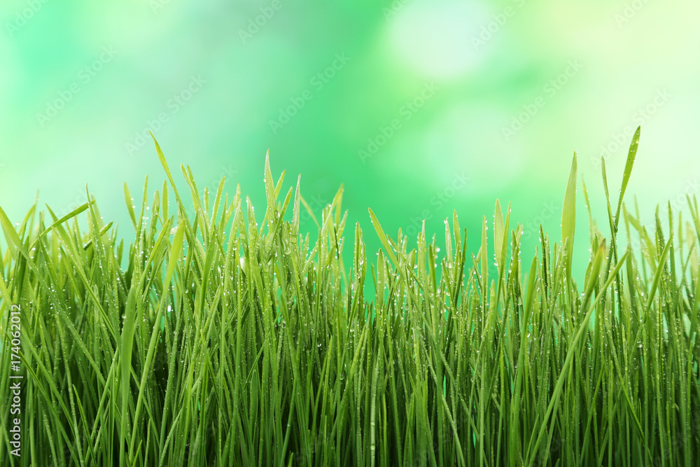 Green grass on green background Green grass on green background