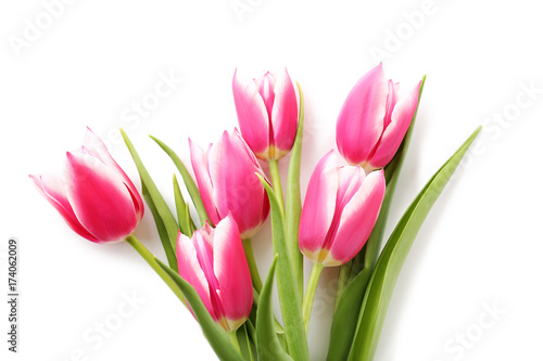 Fototapeta Naklejka Na Ścianę i Meble -  Bouquet of pink tulips isolated on a white