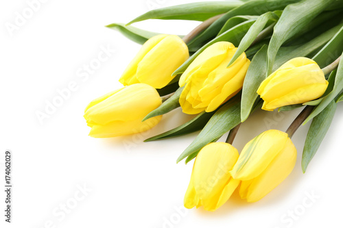 Bouquet of yellow tulips isolated on a white