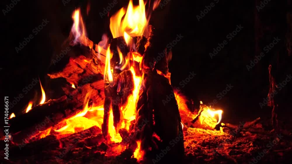Bonfire. Burning wood on the yard. 4K close up view. Bonfire. Burning wood on the yard. 4K close up view.