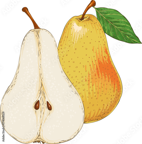 Ripe Yellow Pear Whole and in Cross Section