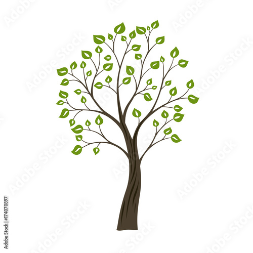 Decorative simple tree. Green nature logo concept photo