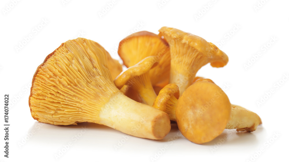 Fototapeta premium Chanterelles on white background