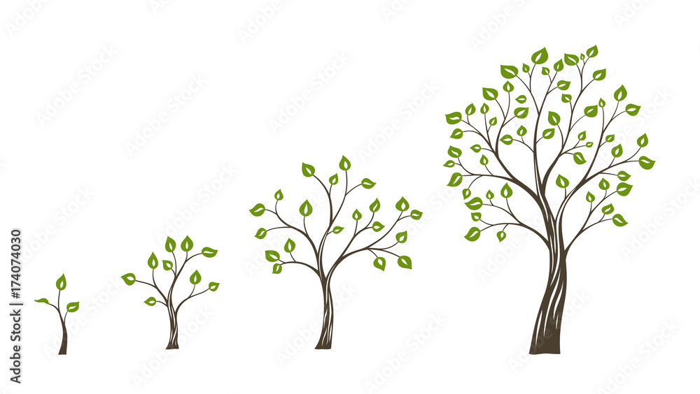 Green tree growth eco concept. Tree life cycle Green tree growth eco concept. Tree life cycle