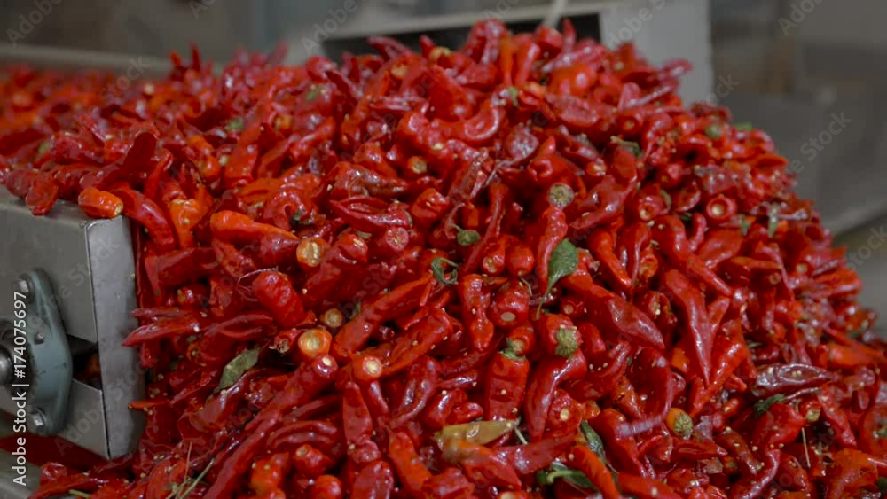 paprika production factory paprika production factory