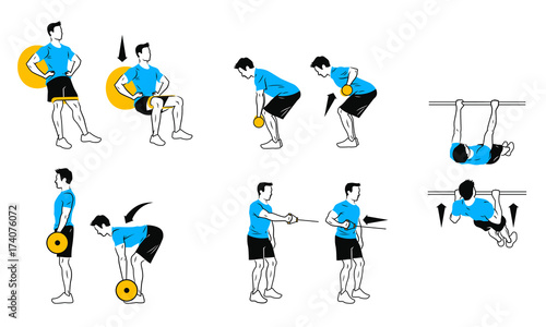 ball squat with knee band, bent over row, Romanian deadlift, one arm standing cable row,  inverted row