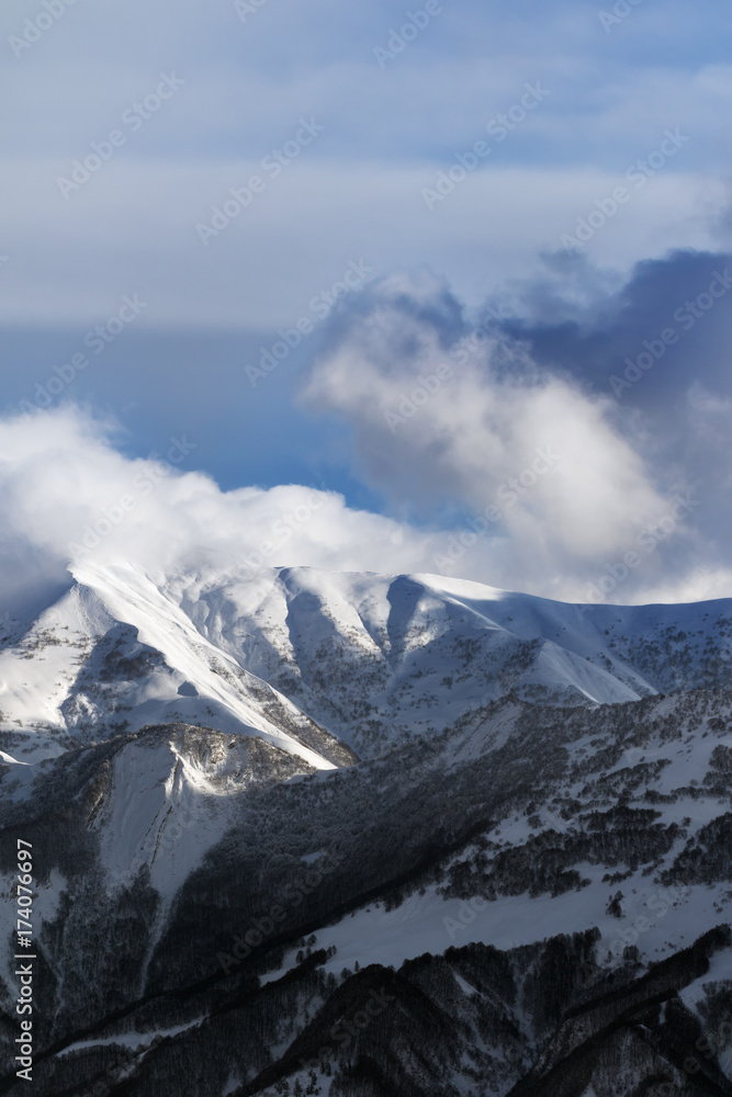 View on off-piste slope with forest