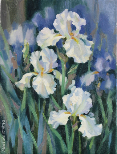 white irises in the sun is a painting painted in oil paints on canvas