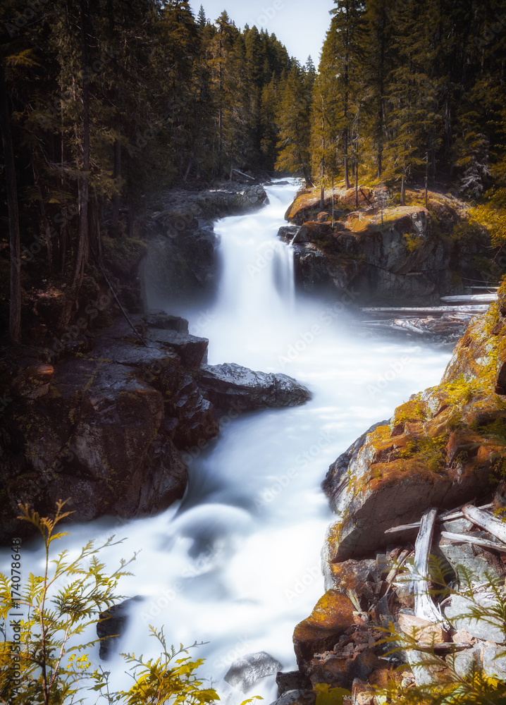 Obraz premium Silver Falls, Mount Rainier