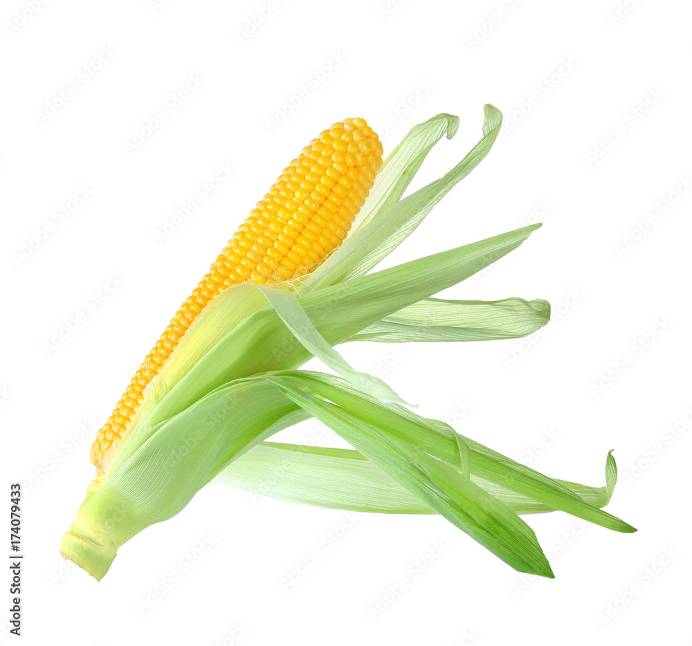 Fresh corn cob, isolated on white Fresh corn cob, isolated on white