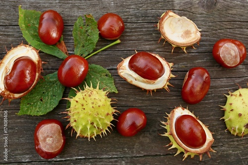 Brown chestnuts with green peels on wooden background