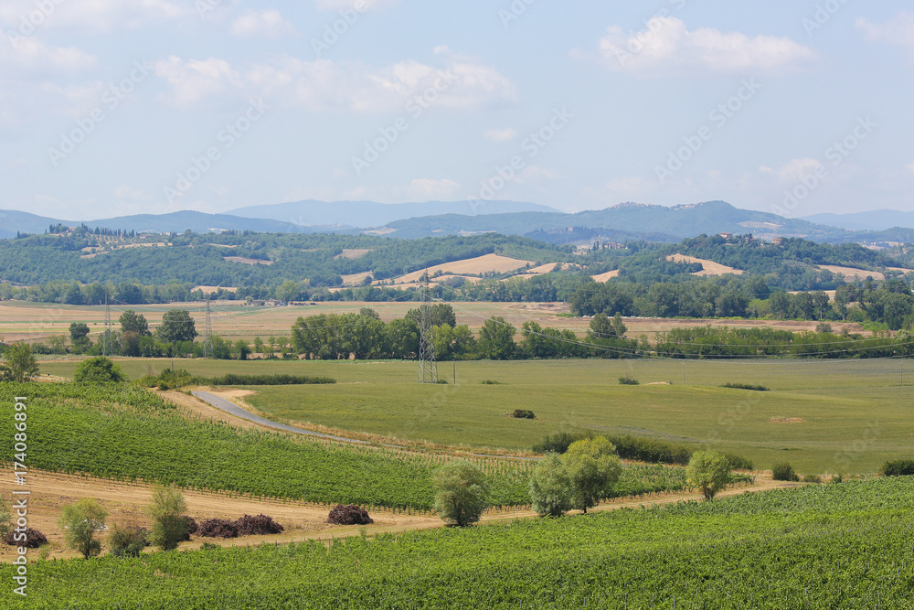 Vineyards near San Gimignano, Tuscany, Italy Vineyards near San Gimignano, Tuscany, Italy