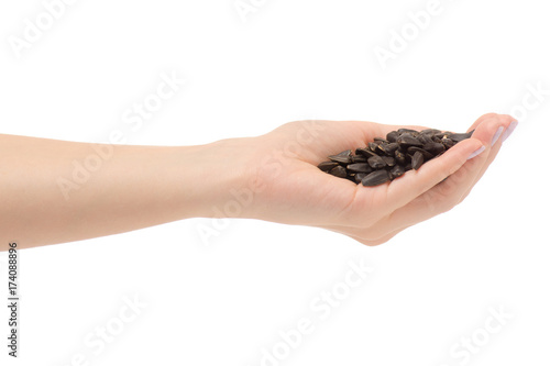 Female hand sunflower seeds