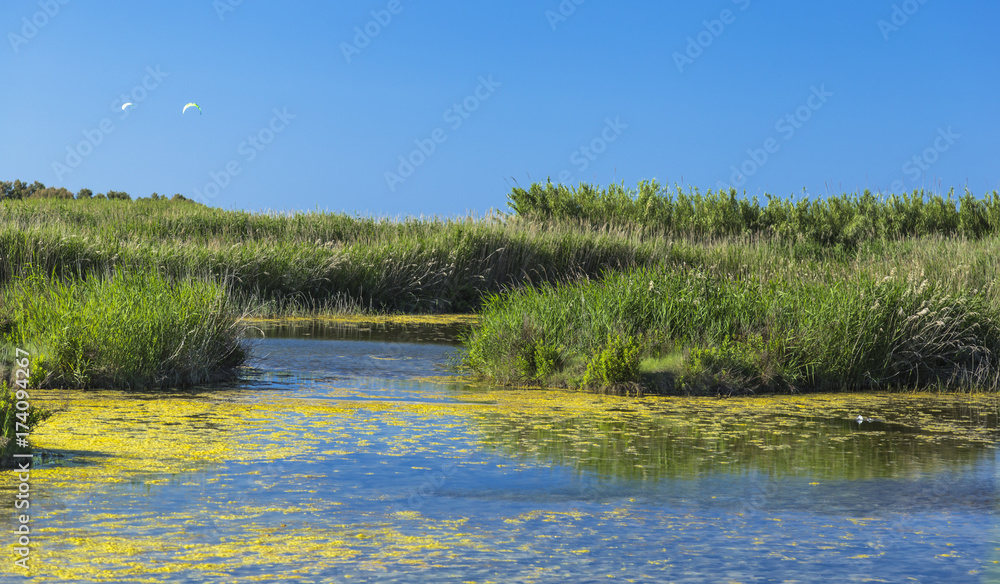 Beautiful view of a colorful pond in a sunny day