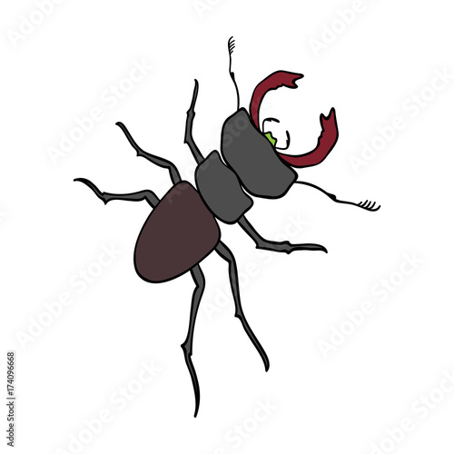 Beetle, arthropodous insect. A beetle with claws single icon in cartoon style vector symbol stock isometric illustration web. photo