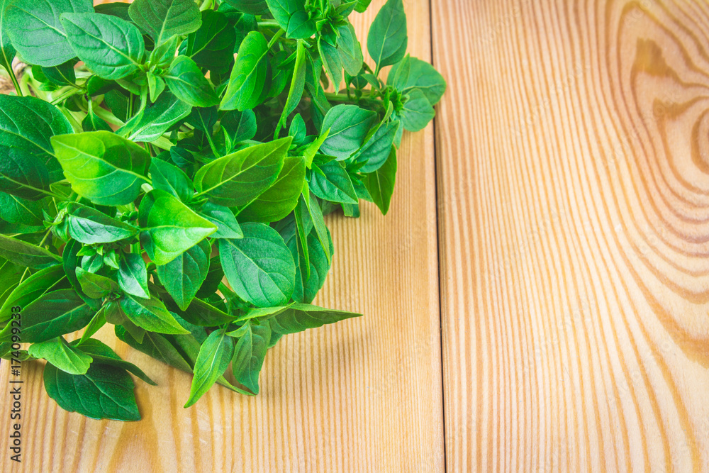 A bunch of green lemon basil on a wooden table. A bunch of green lemon basil on a wooden table.
