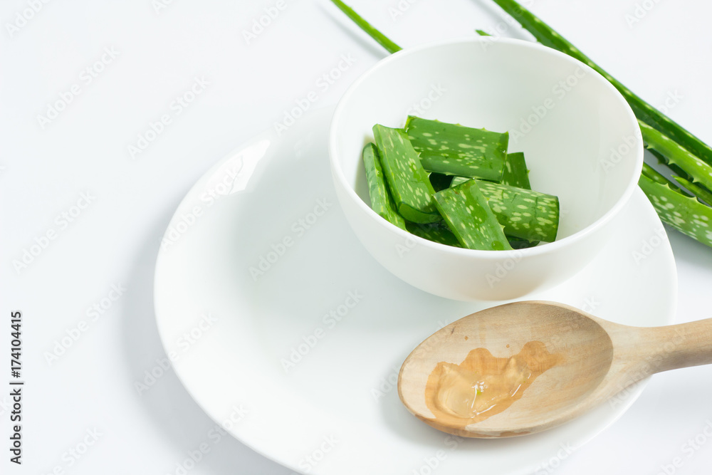 Aloe vera in white container