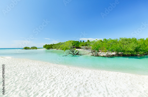 Fototapeta Naklejka Na Ścianę i Meble -  gorgeous amazing inviting view of tropical white sand beach and tranquil turquoise ocean lagoon on blue sky background at Cayo Coco Cuban island, sunny summer beautiful day