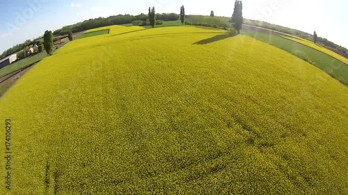 Drone ripresa aerea campi coltivati scolza gialla photo