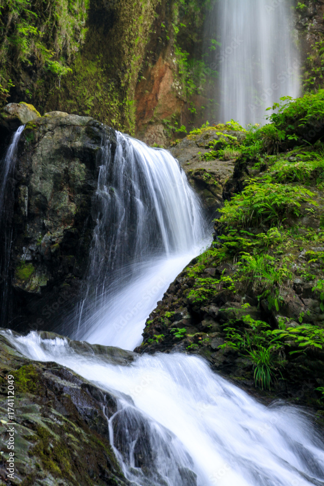 Fototapeta premium 竜化の滝