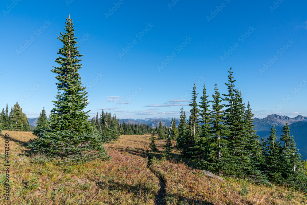 Mount Rainier National Park