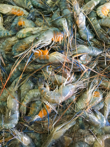 Closeup fresh shrimp in supermarket  raw material food cooking  Photo with mobile phone