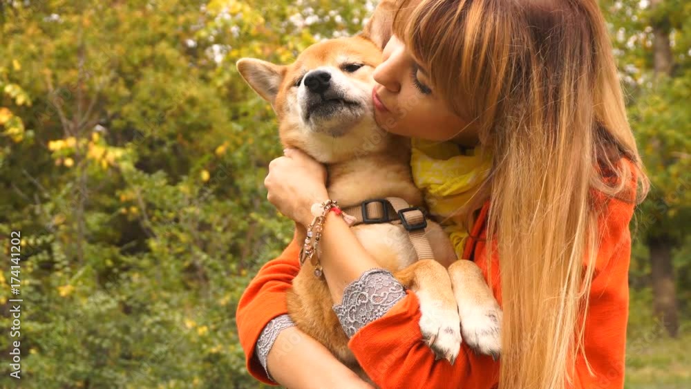 Girl and dog Shiba Inu outdoors in a city park in the autumn afternoon. She holds the pet on her hands and kisses him. Shooting close-up. Girl and dog Shiba Inu outdoors in a city park in the autumn afternoon. She holds the pet on her hands and kisses him. Shooting close-up.