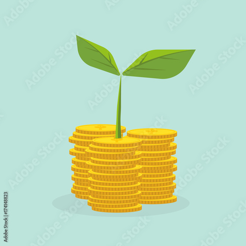 Plant Growing In Savings Coins - Investment And Interest Concept ,Business investment growth concept,with stack money coin