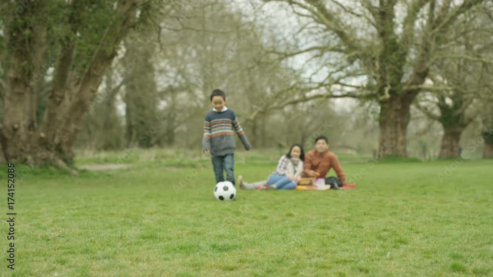 Portrait happy little boy with soccer ball having picnic in the countryside Portrait happy little boy with soccer ball having picnic in the countryside