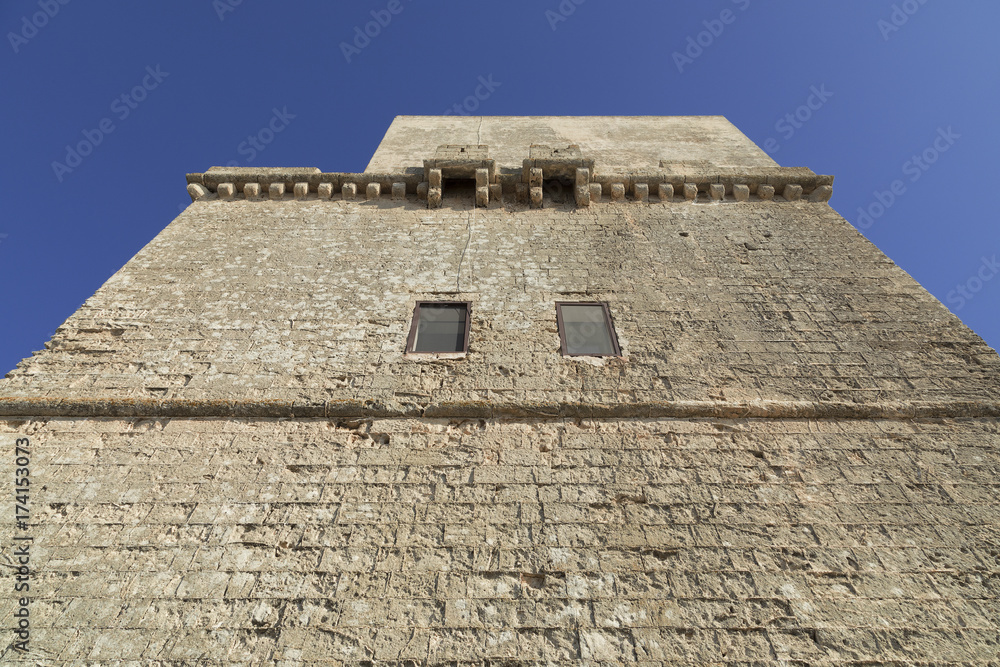 Torre antica  in prospettiva