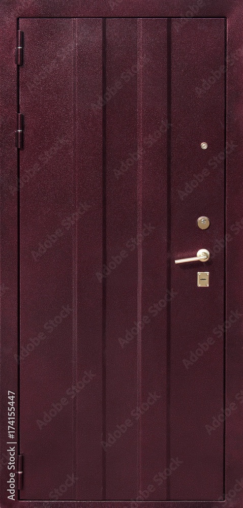 Fototapeta premium Entrance door (metal door)