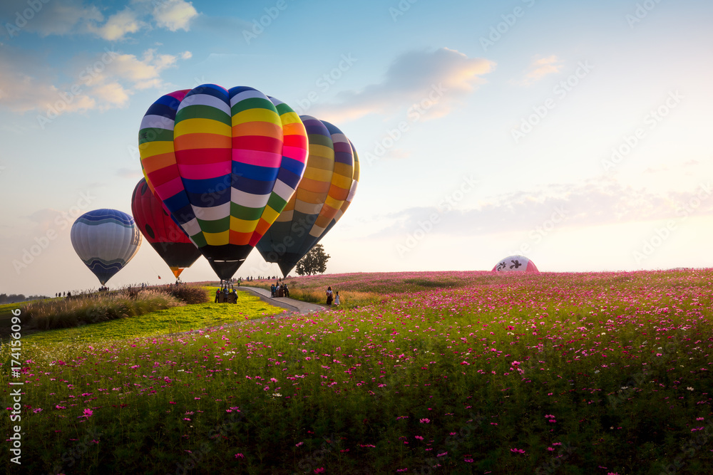 Fototapeta premium Singha Park Balloon Fiesta 2017