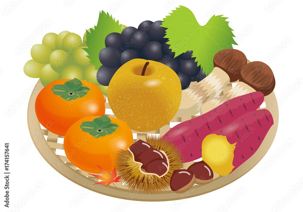 秋の果実のイラスト 栗 梨 柿 葡萄 Illustration Of Autumn Taste Stock Vector Adobe Stock
