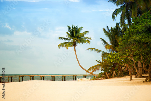 Beach with pier and palm trees on the Atlantic coast.