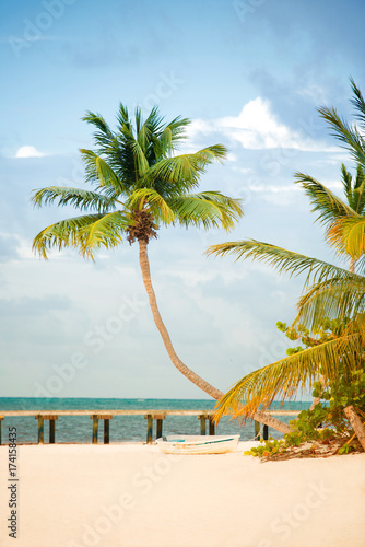 Beach with pier and palm trees on the Atlantic coast.