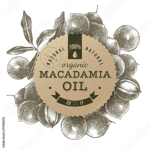 Macadamia oil label with hand drawn nuts