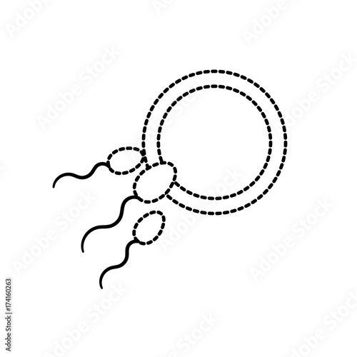 dotted shape fertility reproduction of ovum and spermatozoon