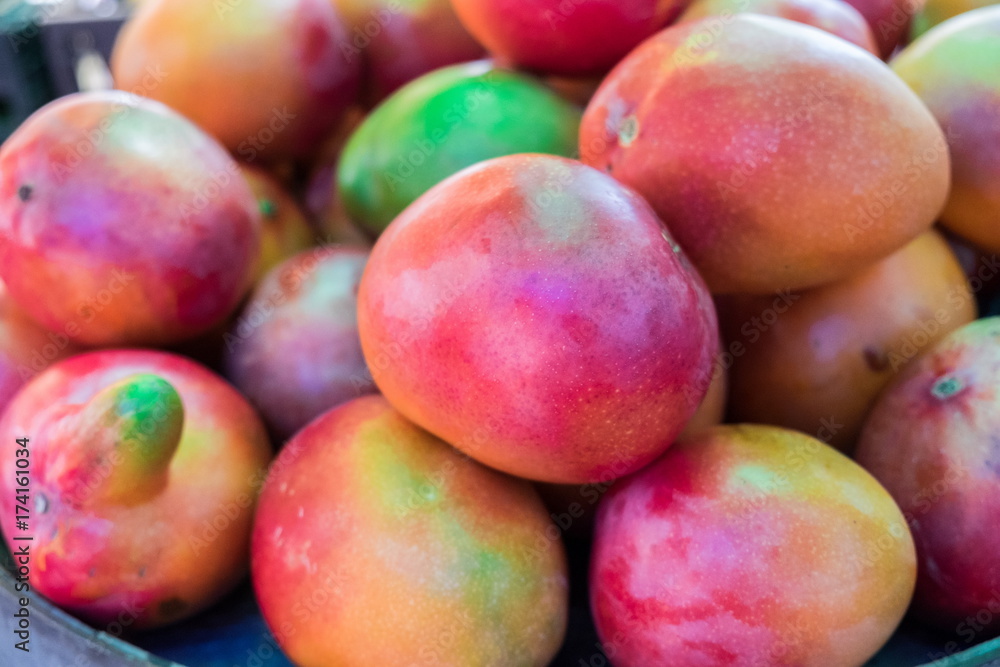 New mango for sale at local farmers market New mango for sale at local farmers market