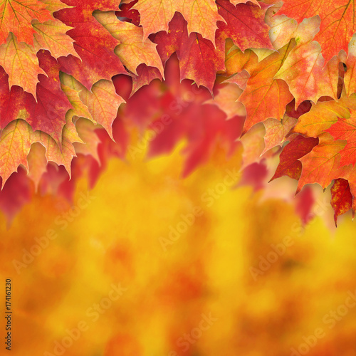 Abstract Autumn Background Border with Fall Leaves