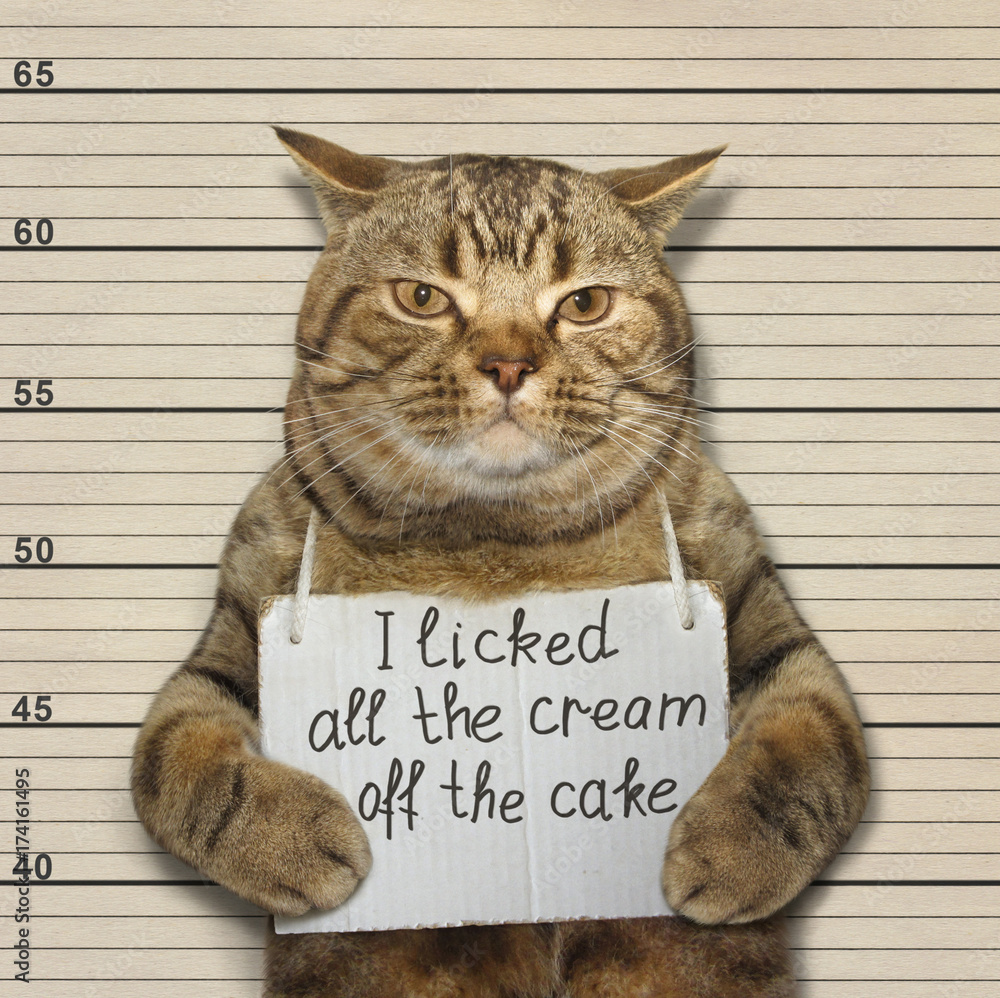 Obraz premium Zły kot zlizał cały krem z ciasta.