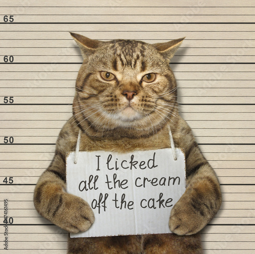 The bad cat licked all the cream off the cake. 